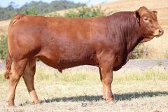 Lot 25 - Maryvale Quillet Q942