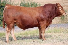 Lot 33 - Maryvale Quintrex Q956