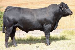 Lot 27 - Maryvale Quilpie Q965