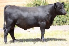 Lot 9 - Maryvale Qualco Q111
