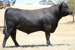 Lot 1 - Maryvale Queensland Q83
