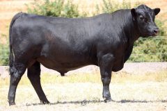 Lot 4 - Maryvale Quondong Q92