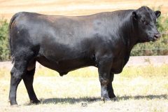 Lot 6 - Maryvale Qwerty Q96