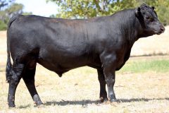 Lot 12 - Maryvale Ramco R102