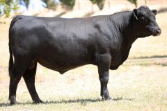 Lot 14 - Maryvale Radical R104
