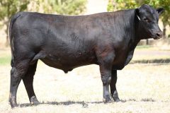 Lot 18 - Maryvale Roxby R126