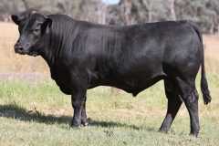 Lot 46 - Maryvale Stamped S177