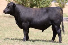 Lot 28 - Maryvale Silver S174
