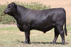 Lot 18 - Maryvale Santa Fe S257