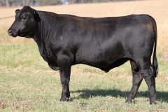 Lot 35 - Maryvale Tabletop T310