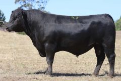 2025 Maryvale Sale Photos