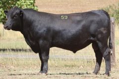 MSV23U473