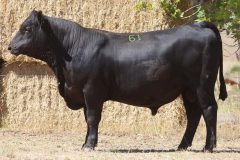 MSV23U476